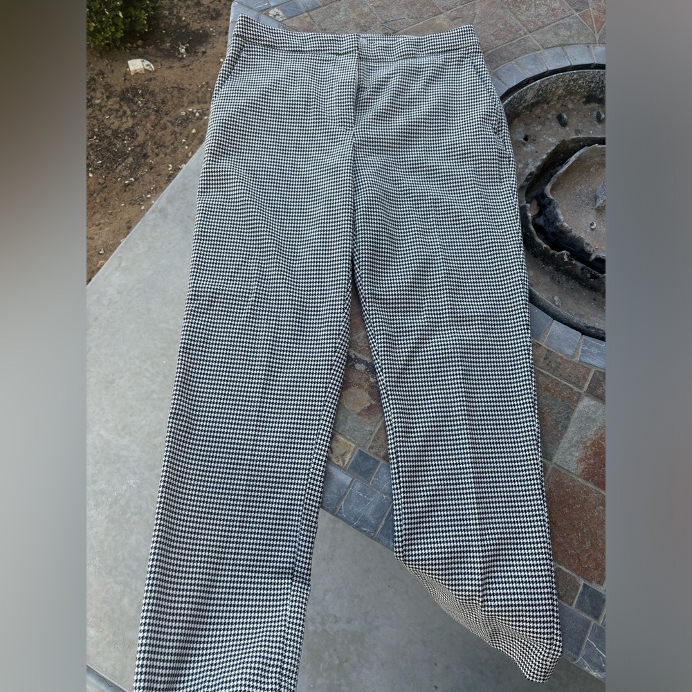 Dress Pants